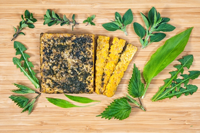 Lupinen Tempeh Wildkräuter von Tempehmanufaktur günstig im Veganshop bei kokku-online.de bestellen.