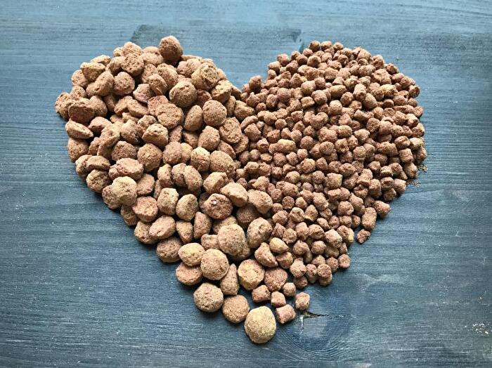 Greta Big Bag - Veganes Hunde Alleinfutter
