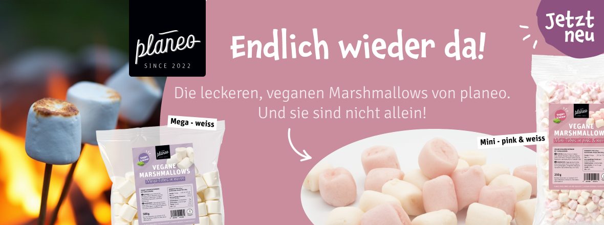 Endlich wieder da! Jetzt vegane Marshmallows von planeo bei kokku-online.de kaufen!