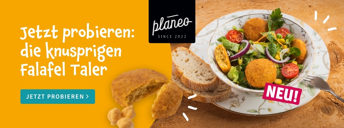 Falafel von planeo NEU bei kokku-online.de
